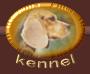 kennel